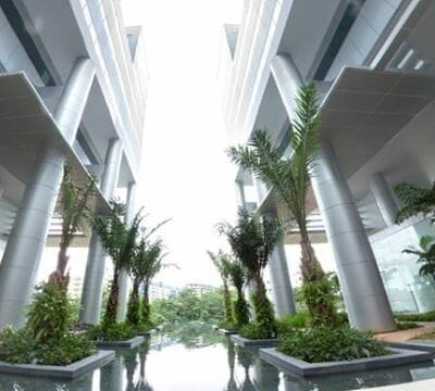 International Business Park